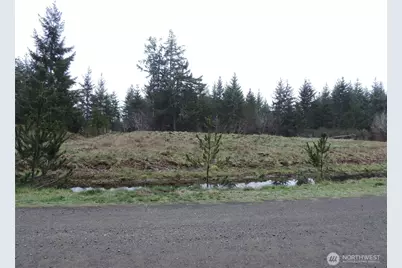 4 Cottonwood, Grapeview, WA 98546 - Photo 2