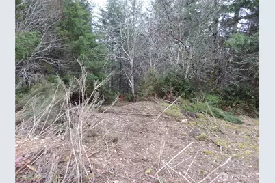 4 Cottonwood, Grapeview, WA 98546 - Photo 14