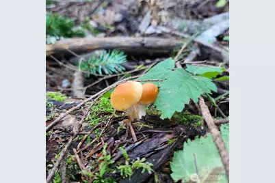 17616 30th Street NW, Home, WA 98349 - Photo 22