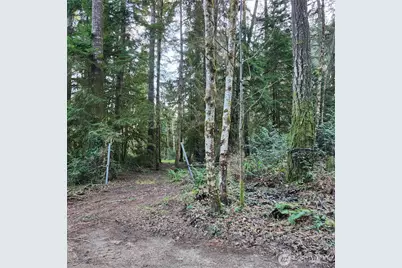 17616 30th Street NW, Home, WA 98349 - Photo 4