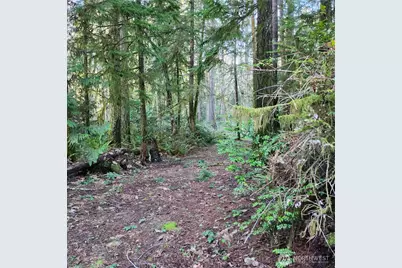 17616 30th Street NW, Home, WA 98349 - Photo 6