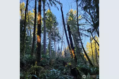 17616 30th Street NW, Home, WA 98349 - Photo 16