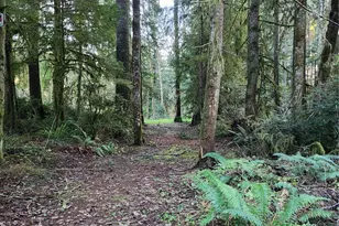 17616 30th St NW, Home, WA 98349 - Photo 1