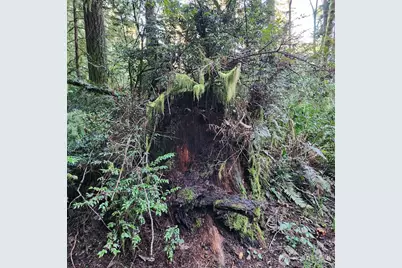 17616 30th Street NW, Home, WA 98349 - Photo 20