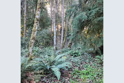 17616 30th Street NW, Home, WA 98349 - Photo 18