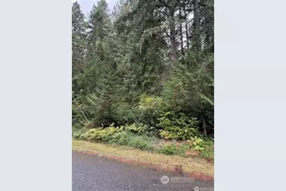9229 Kootenia Drive, Anderson Island, WA 98303 - Photo 1