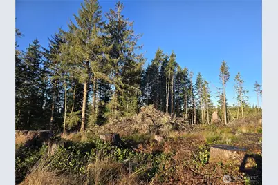 2753 State Route 101, Ilwaco, WA 98624 - Photo 2