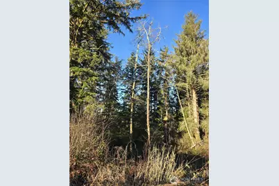 2753 State Route 101, Ilwaco, WA 98624 - Photo 6