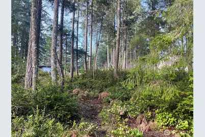 40 E Paint Brush Lane, Union, WA 98592 - Photo 2