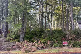 40 E Paint Brush Ln, Union, WA 98592 - Photo 1