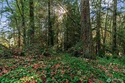 5811 Wollochet Drive NW, Gig Harbor, WA 98335 - Photo 40