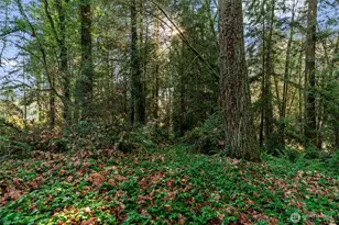 5811 Wollochet Dr NW, Gig Harbor, WA 98335 - Photo 40