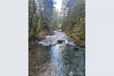 1951 Bear Creek Road, Carson, WA 98610 - Photo 16