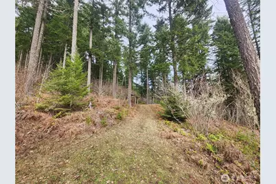 1951 Bear Creek Road, Carson, WA 98610 - Photo 24