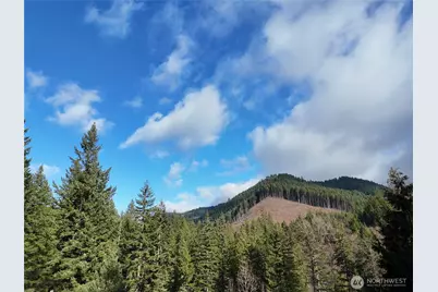 1951 Bear Creek Road, Carson, WA 98610 - Photo 6