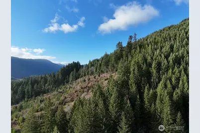 1951 Bear Creek Road, Carson, WA 98610 - Photo 4