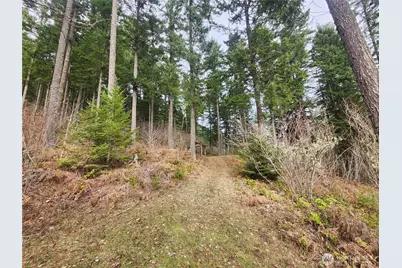 1951 Bear Creek Road, Carson, WA 98610 - Photo 20