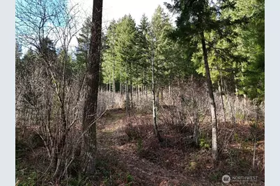 1951 Bear Creek Road, Carson, WA 98610 - Photo 14