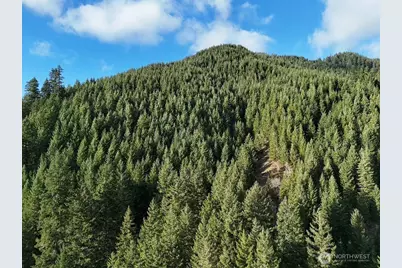 1951 Bear Creek Road, Carson, WA 98610 - Photo 1