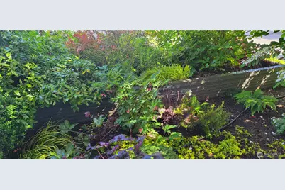 10743 14th Avenue NE, Seattle, WA 98125 - Photo 40