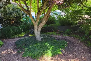 10743 14th Avenue Northeast, Seattle, WA 98125 - Photo 36