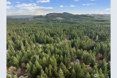 22429 Clearview Court SE, Yelm, WA 98597 - Photo 32