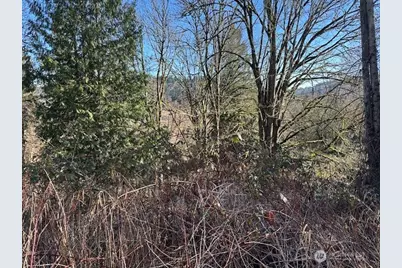 57 Xx 188th Avenue NE, Redmond, WA 98053 - Photo 2