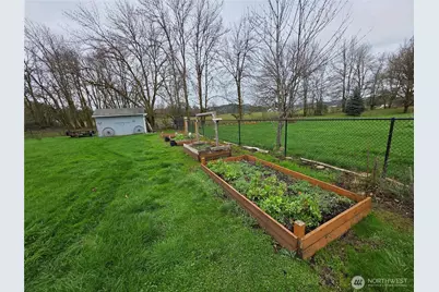 1294 Boistfort Road, Curtis, WA 98532 - Photo 6