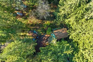 1310 NE Collins Lake Dr, Tahuya, WA 98588 - Photo 18