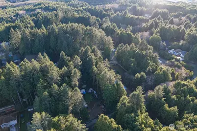 40 Robin Lane, Pacific Beach, WA 98571 - Photo 8