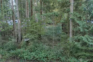 40 Robin Ln, Pacific Beach, WA 98571 - Photo 1