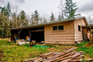 236 Tryon Rd, Onalaska, WA 98570 - Photo 38