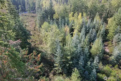 3 Holly Road NW, Bremerton, WA 98312 - Photo 10