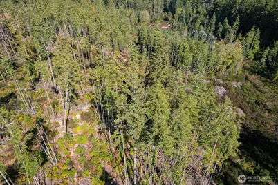 3 Holly Road NW, Bremerton, WA 98312 - Photo 14