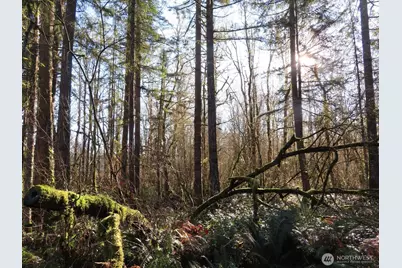 115 Campground Lane, Winlock, WA 98596 - Photo 14