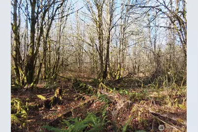 115 Campground Lane, Winlock, WA 98596 - Photo 8