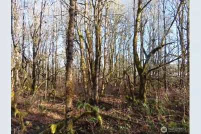 115 Campground Lane, Winlock, WA 98596 - Photo 6