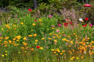 18215 Mill Ln, Long Beach, WA 98631 - Photo 40