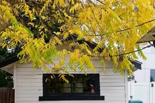 11044 1st Ave NW, Seattle, WA 98177 - Photo 12