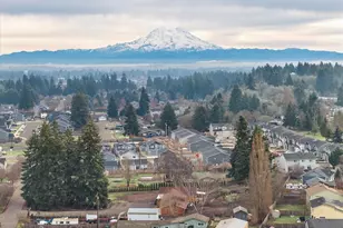 15329 104th Ave SE, Yelm, WA 98597 - Photo 40