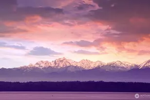 8201 Olympic View Ln, Clinton, WA 98236 - Photo 40