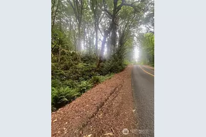 14802 Delano Road SW, Longbranch, WA 98349 - Photo 2