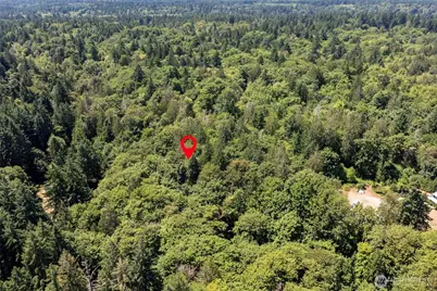 14802 Delano Road SW, Longbranch, WA 98349 - Photo 4