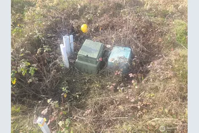 3826 E N Street, Tacoma, WA 98404 - Photo 8