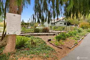 13007 1st Ave NE, Seattle, WA 98125 - Photo 10