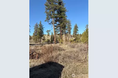 1 Tbd Valley View Drive, Oroville, WA 98844 - Photo 2