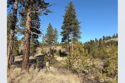 1 Tbd Valley View Drive, Oroville, WA 98844 - Photo 8