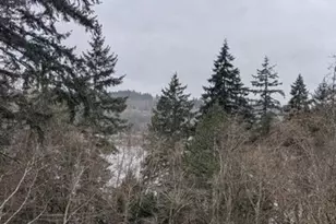 291 E Shorecrest Dr, Shelton, WA 98584 - Photo 20