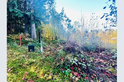 0 Valley Ridge Road, Chehalis, WA 98532 - Photo 1