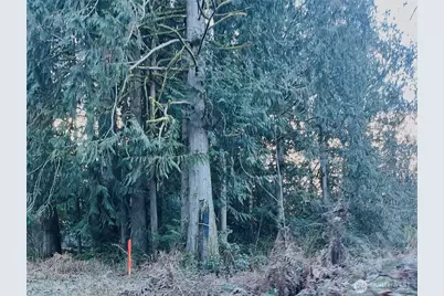 0 Valley Ridge Road, Chehalis, WA 98532 - Photo 2